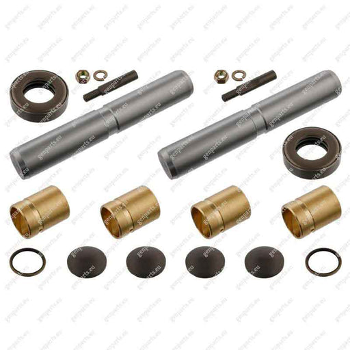 febi-05701-king-pin-set-316-330-01-19-2-3163300119-2