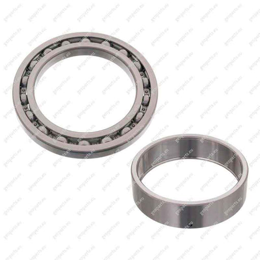 febi-100180-gear-shaft-bearing-008-981-13-25-0089811325