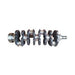 10075 Crankshaft