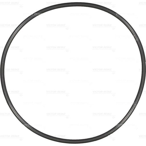131070 Seal Ring, cylinder liner