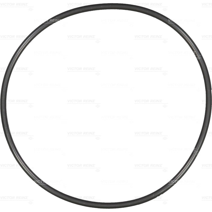 131070 Seal Ring, cylinder liner