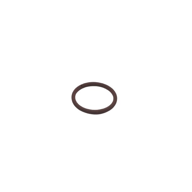 132060 Seal Ring, injector