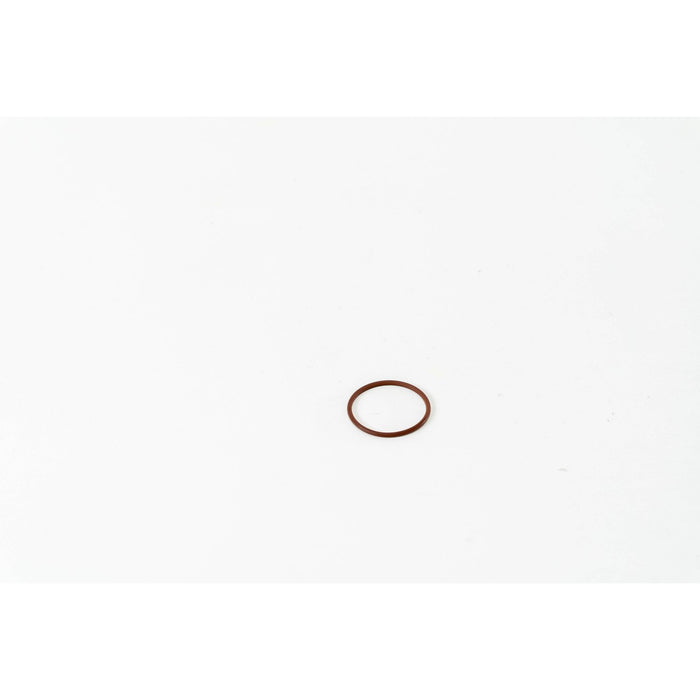 132350IV Seal Ring, injector