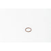 132350IV Seal Ring, injector