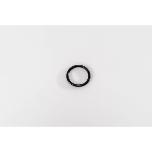 132365 Seal Ring, injector