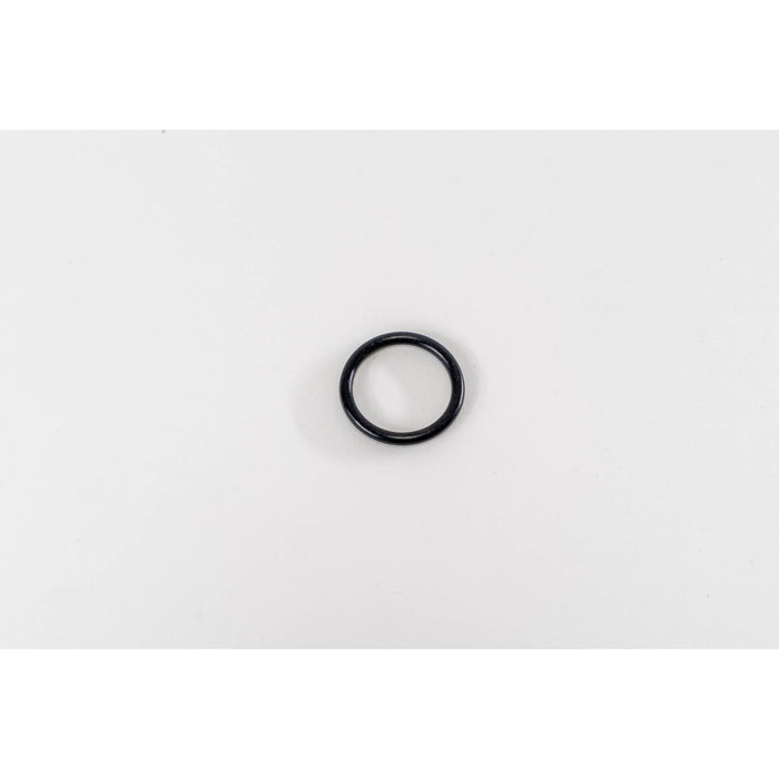 132365 Seal Ring, injector
