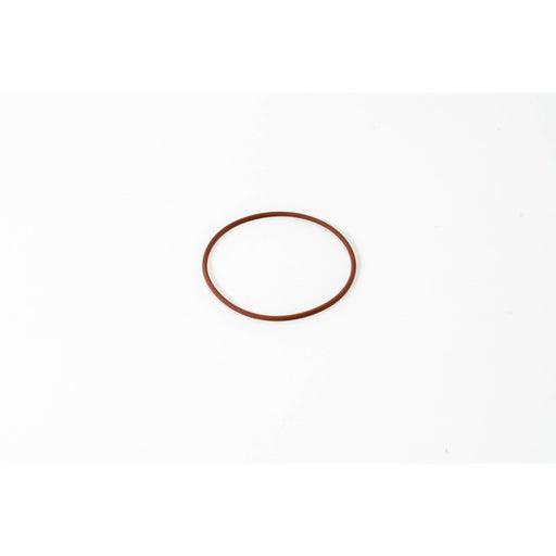 133520 Seal Ring, injector