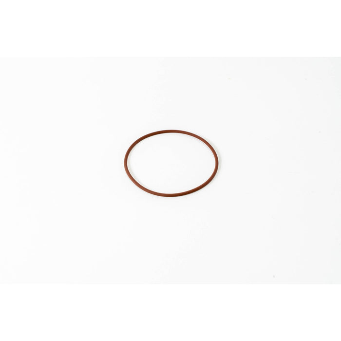 133520 Seal Ring, injector
