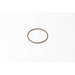 133520 Seal Ring, injector