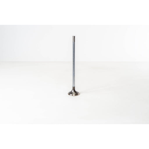 150020 Outlet valve