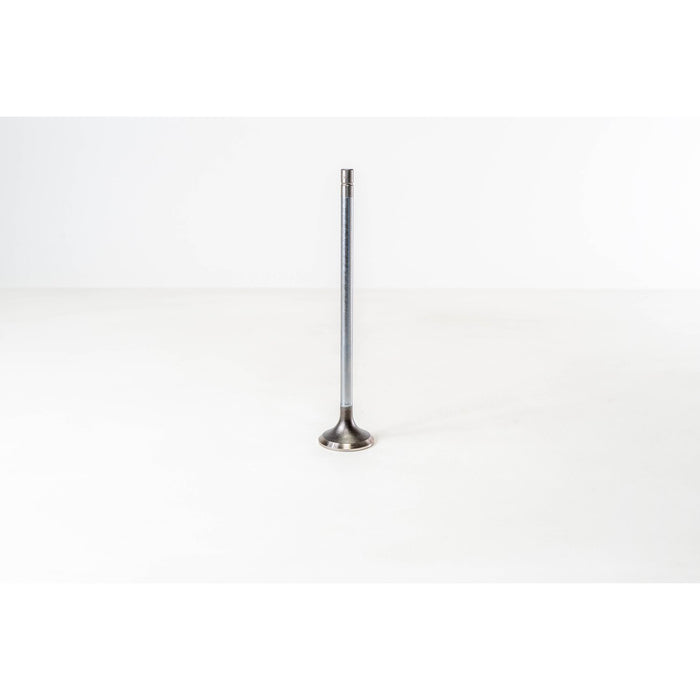 150020 Outlet valve