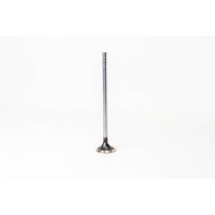 150021 Outlet valve