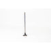150021 Outlet valve