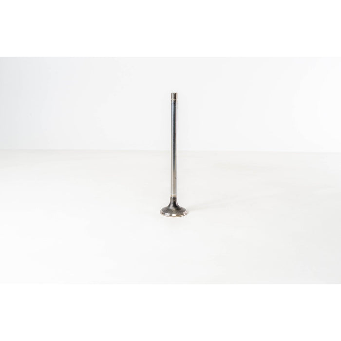 150080 Outlet valve