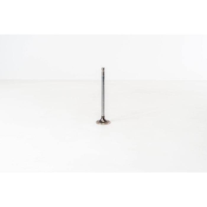 150110 Inlet Valve