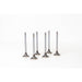 153740 Outlet valve