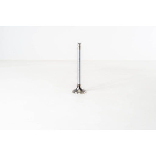 154180 Outlet valve