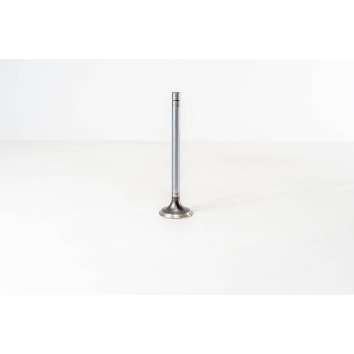 154470 Outlet valve