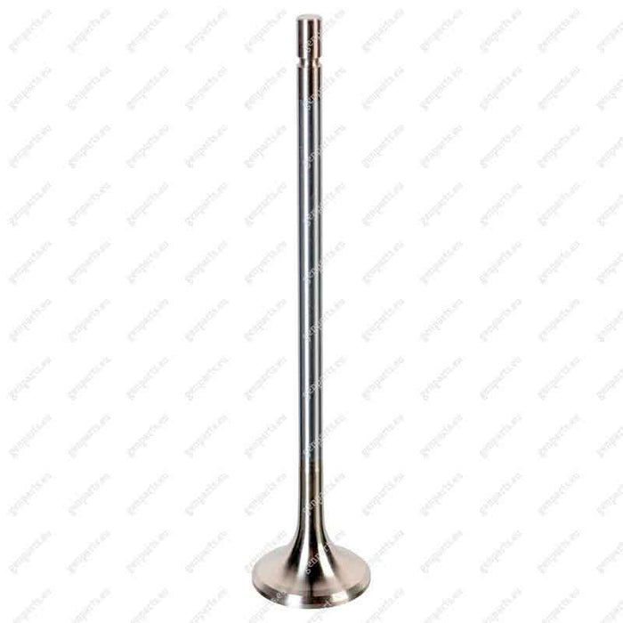 febi-175553-exhaust-valve-8148574