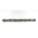 20110M Camshaft