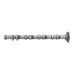 20440 Camshaft