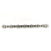 20671 Camshaft