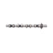 21125 Camshaft