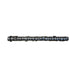 21620 Camshaft