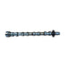 22460 Camshaft