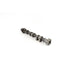 25120 Camshaft