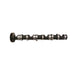 26100 Camshaft