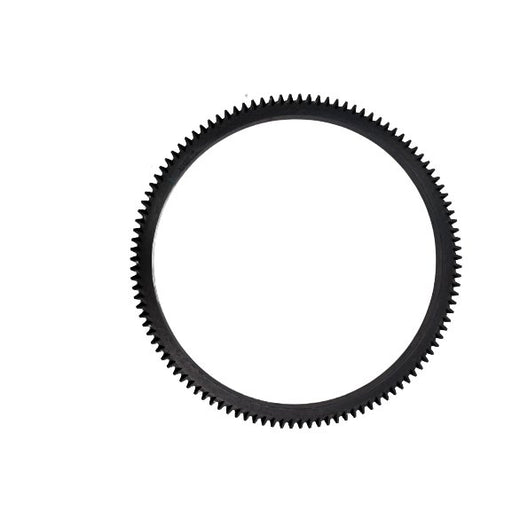 310300 Ring Gear, flywheel