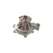 350185 Water Pump
