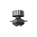 351980 Water Pump