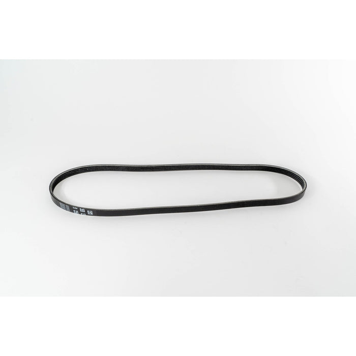 360001 V-Ribbed Belt