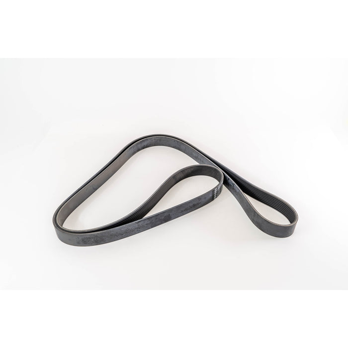 360015 V-Ribbed Belt