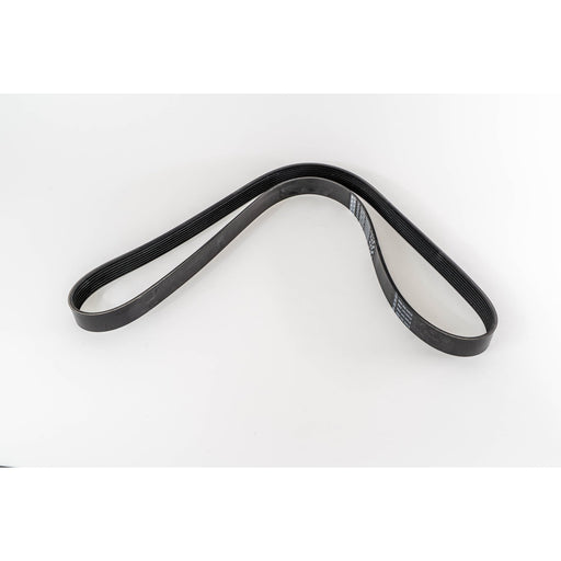 360019 V-Ribbed Belt