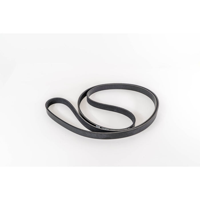 360032 V-Ribbed Belt