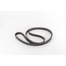360032 V-Ribbed Belt