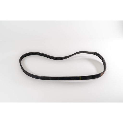 360036 V-Ribbed Belt