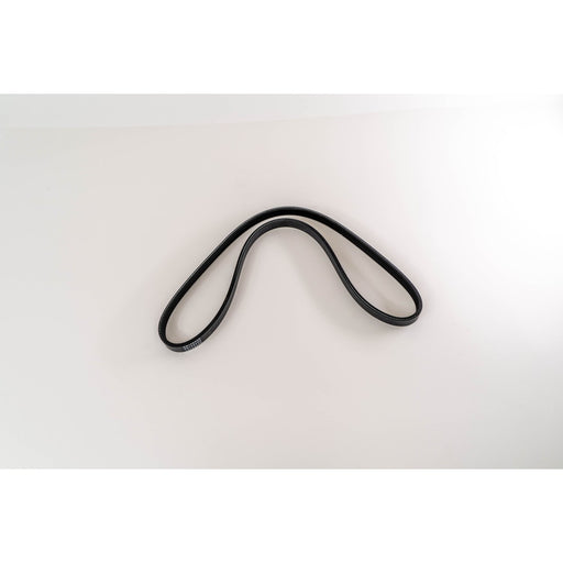 360038 V-Ribbed Belt