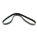 360041 V-Ribbed Belt