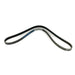 360043 V-Belt