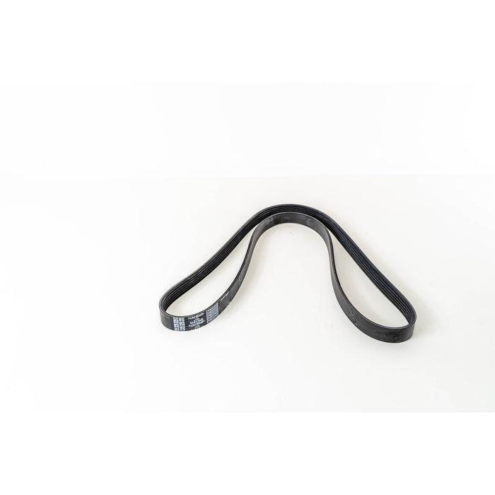 360230 V-Ribbed Belt