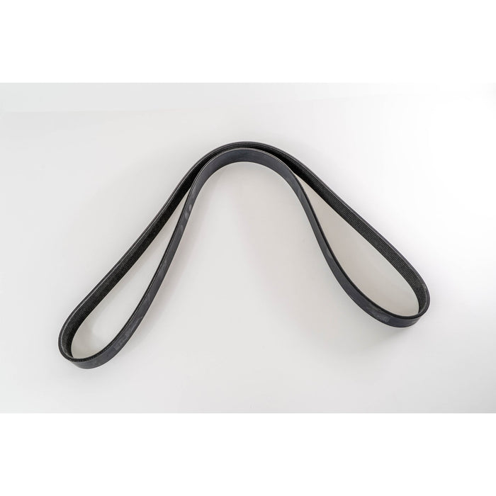380020 V-Ribbed Belt