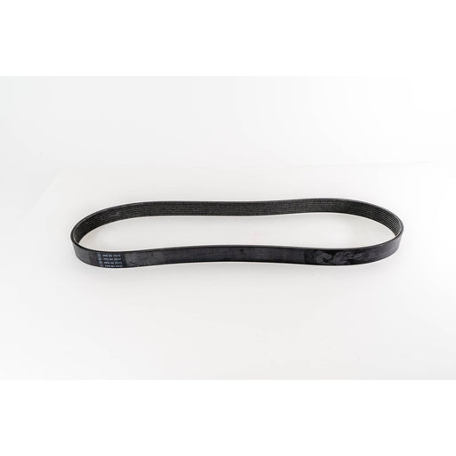 380160 V-Ribbed Belt