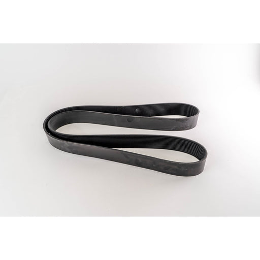 381023 V-Ribbed Belt