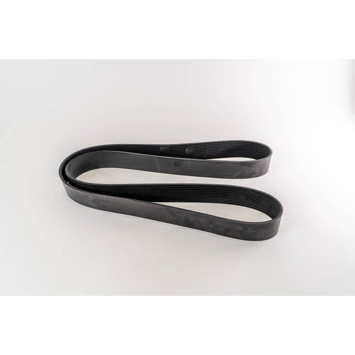 381023 V-Ribbed Belt