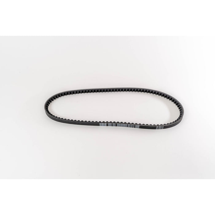 381085 V-Belt