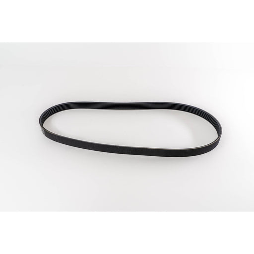 381088 V-Ribbed Belt